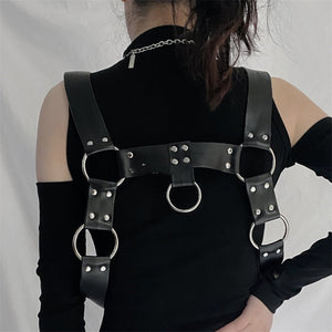 Security Harness