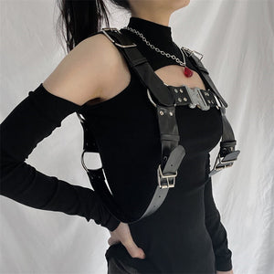 Security Harness